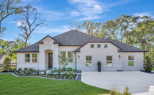 House in Conroe, Texas, United States 1