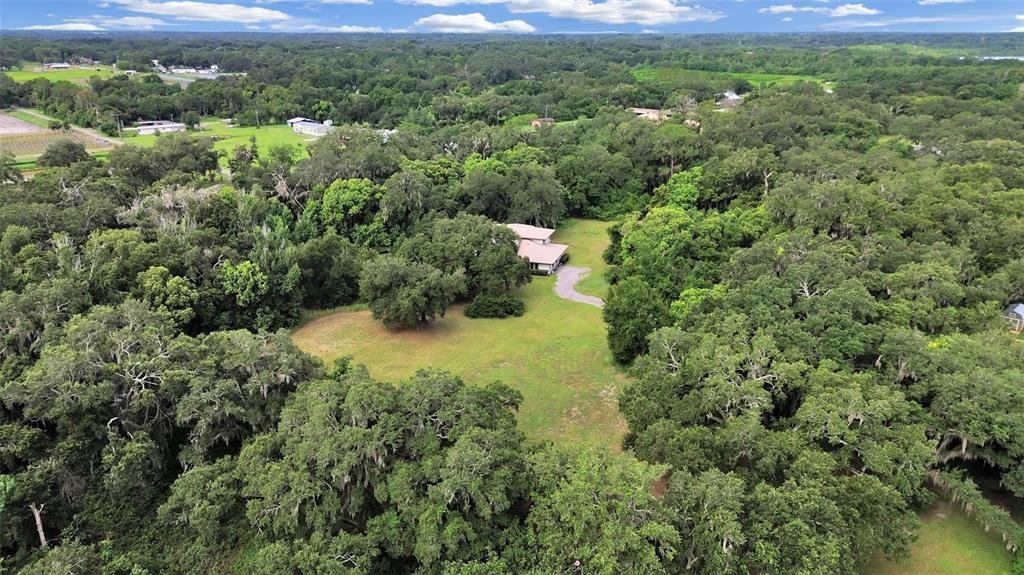 House in Brandon, Florida, United States 5 - 18457387