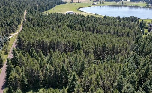 Terreno a Whitefish, Montana, Stati Uniti 1