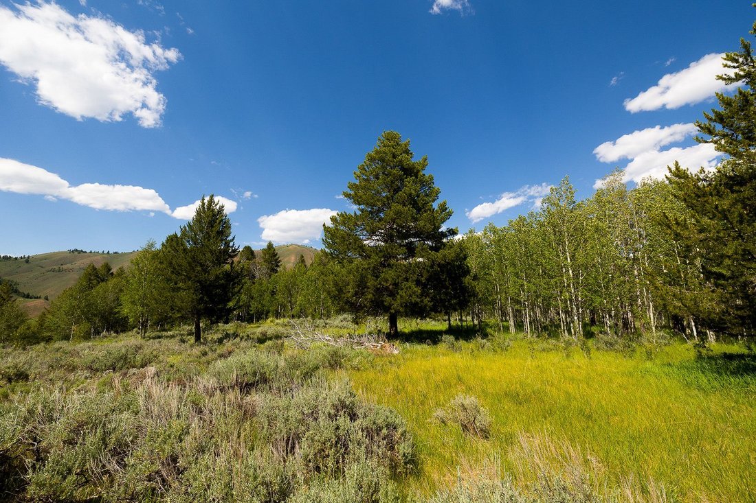 Land in Jackson, Wyoming, United States 2 - 18458174