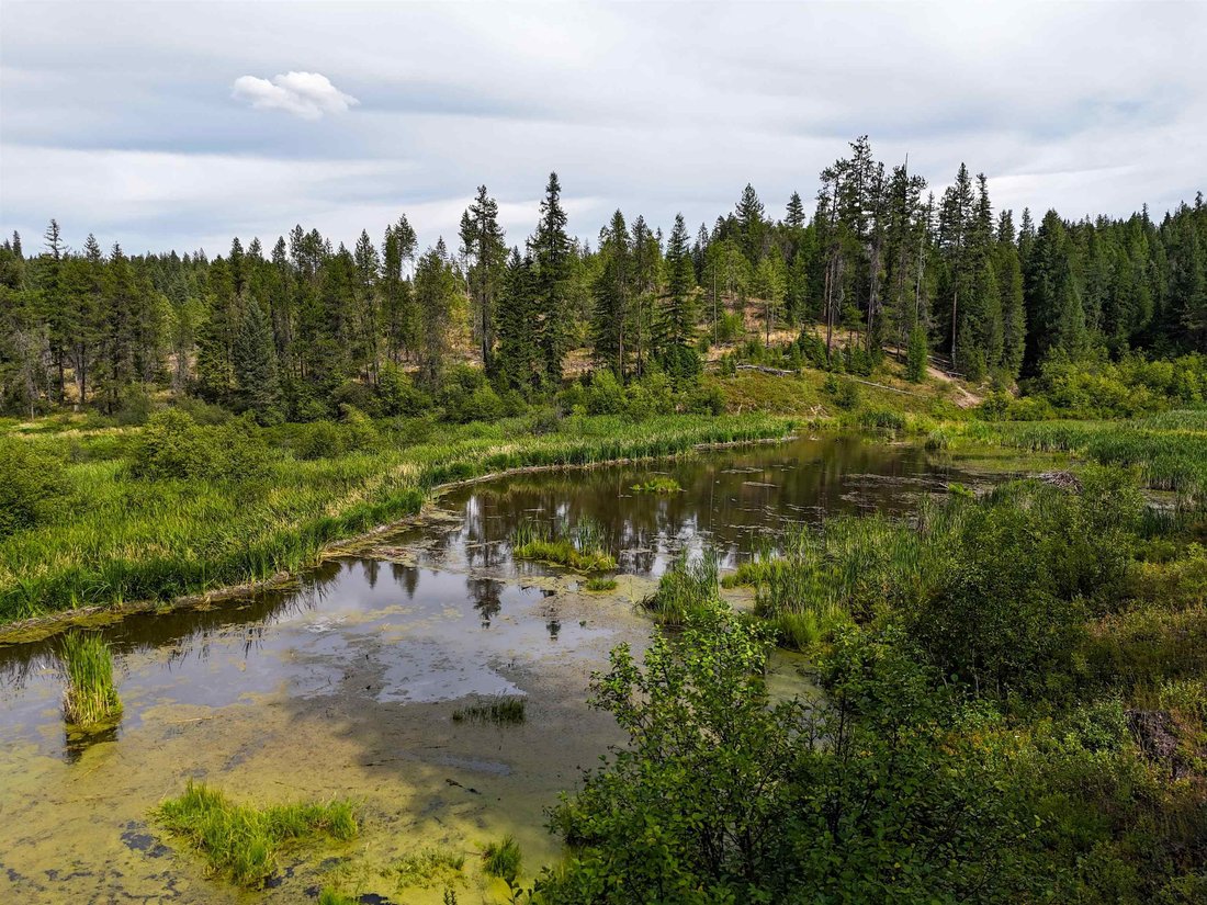 Land in Springdale, Washington, United States 1 - 18460012