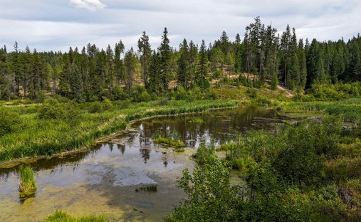 Land in Springdale, Washington, Vereinigte Staaten 1
