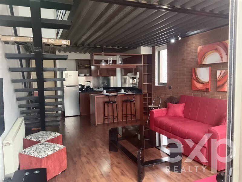 Apartment in Providencia, Santiago Metropolitan Region, Chile 1 - 18460627