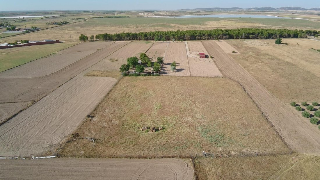 Land in Lillo, Castile-La Mancha, Spain 2 - 18466202