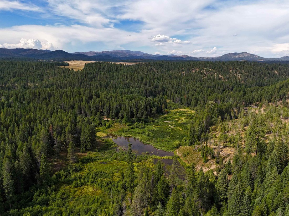 Land in Springdale, Washington, United States 5 - 18460012