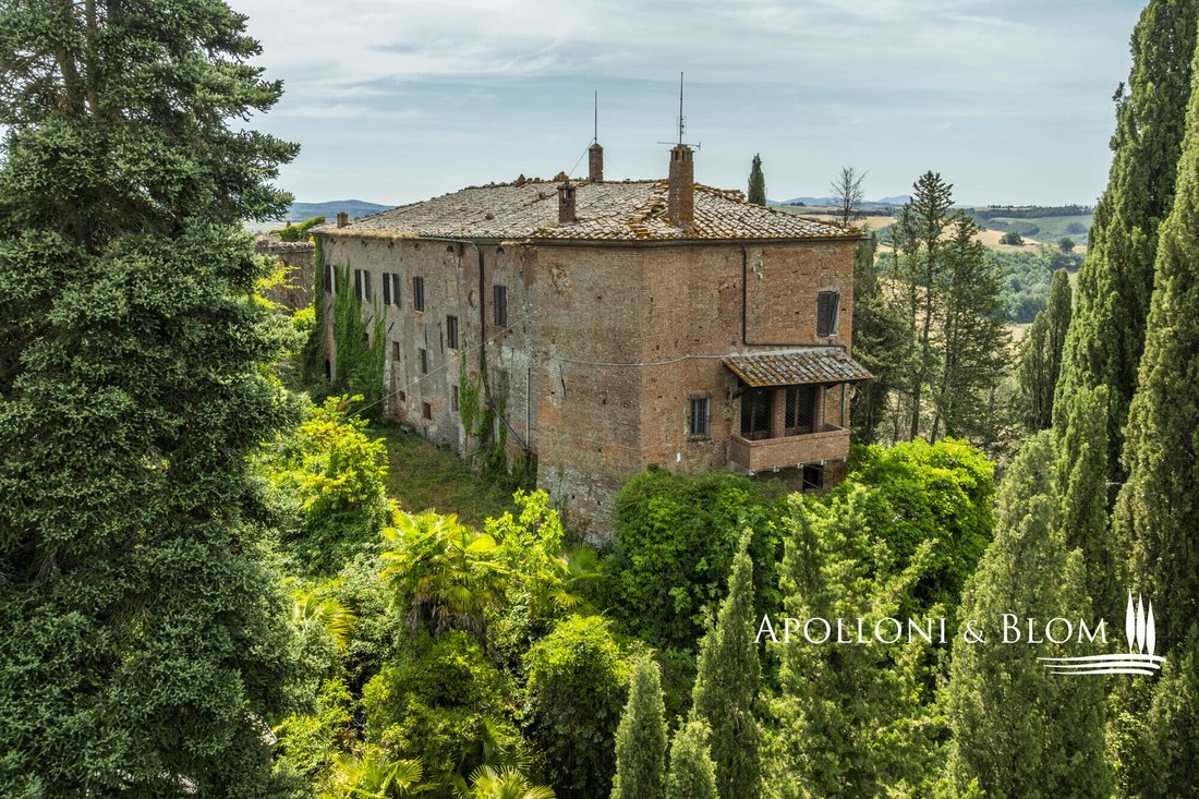 Montalcino, Tuscany, Italy 5 - 18458873