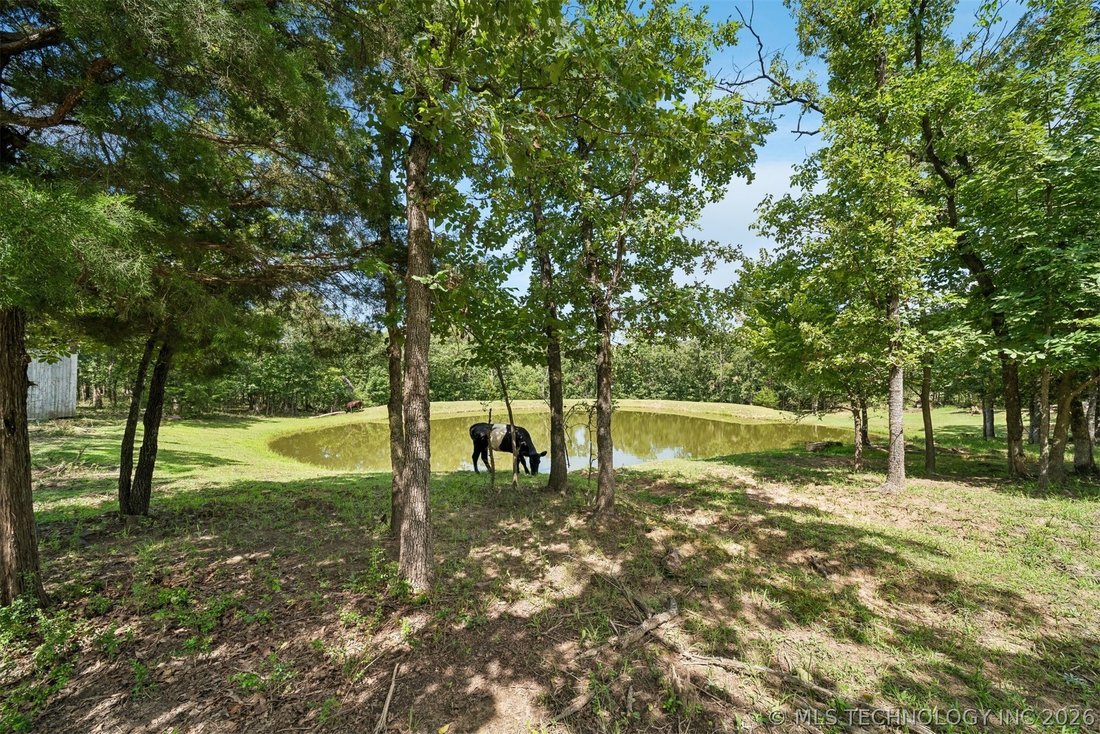 House in Tulsa, Oklahoma, United States 4 - 18458282