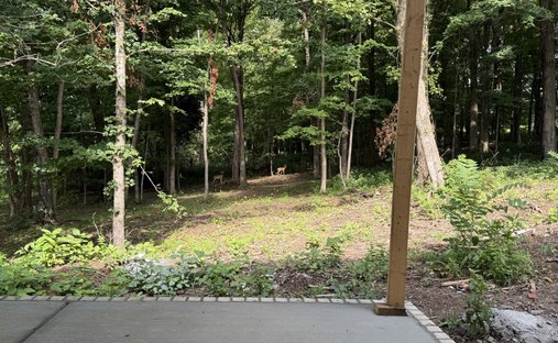 House in Lebanon, Tennessee, United States 1
