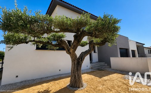 House in Alenya, Occitania, France 1