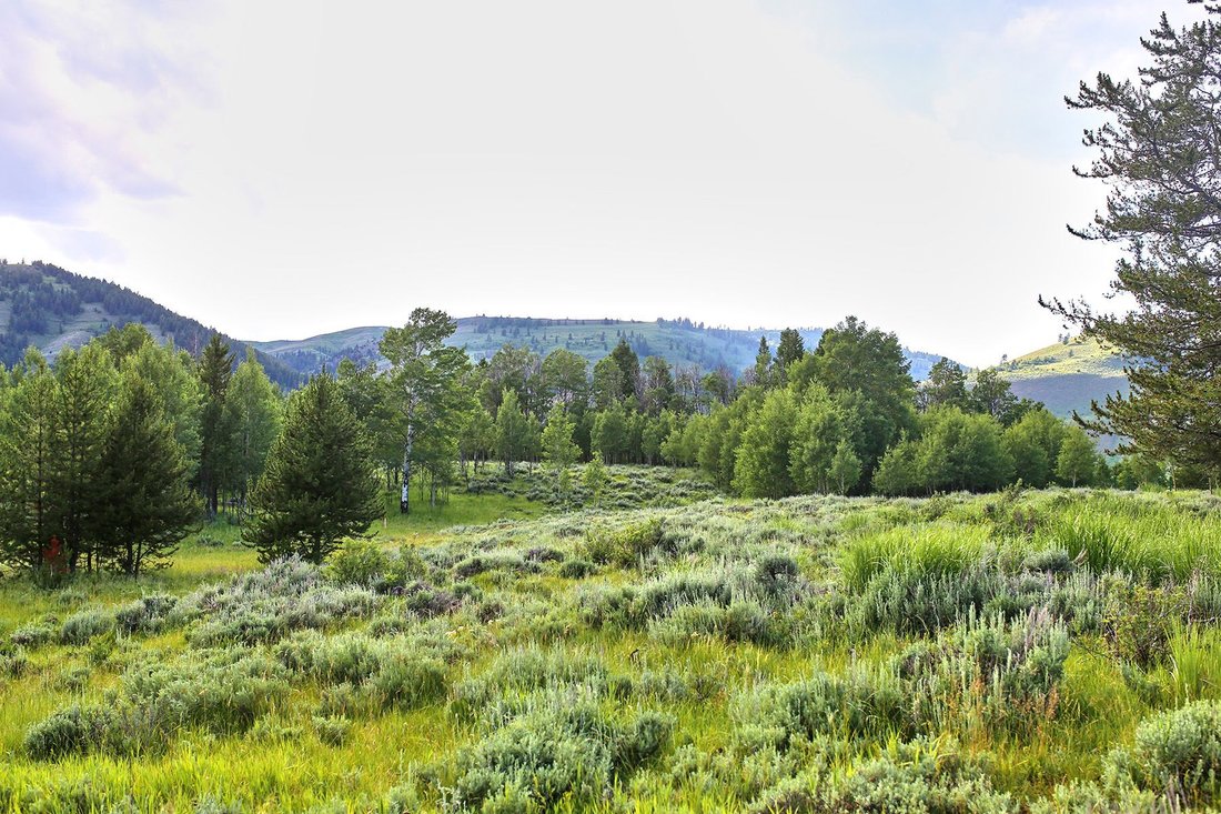 Land in Jackson, Wyoming, United States 2 - 18458172