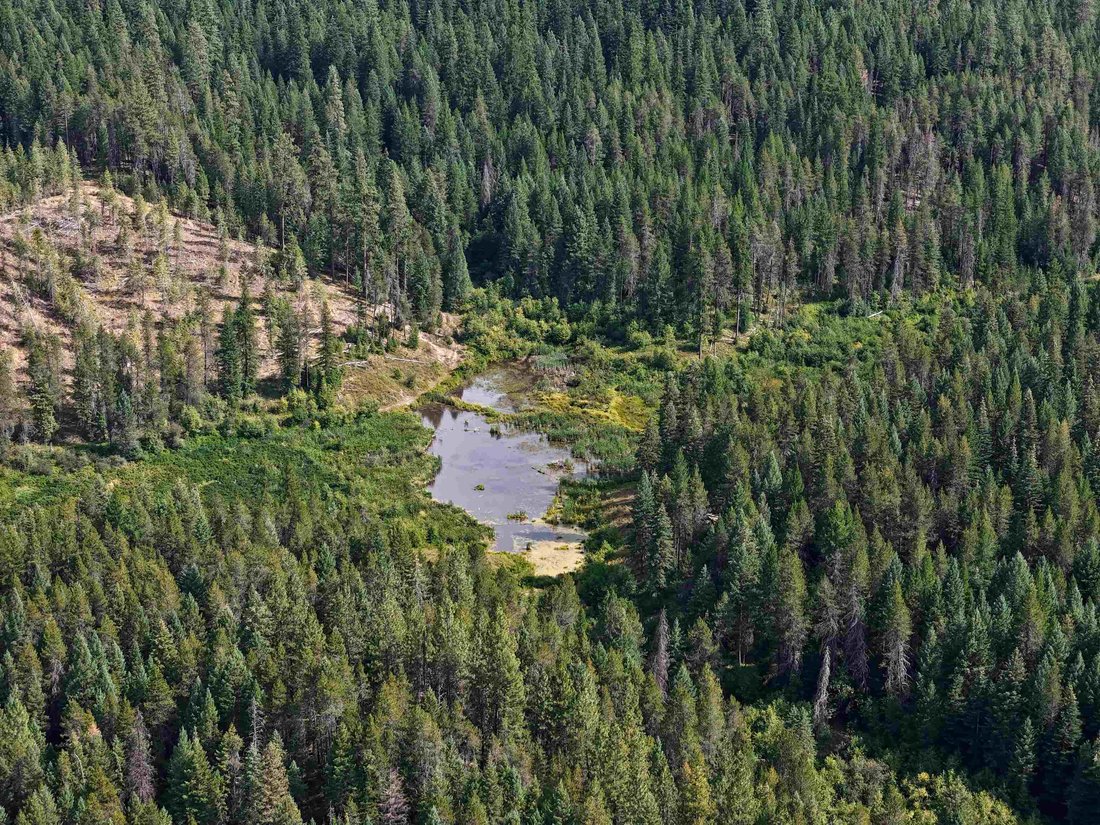Land in Springdale, Washington, United States 4 - 18460012