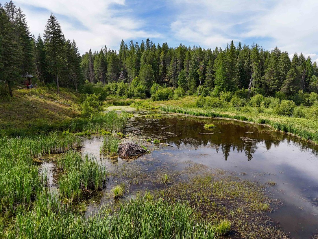 Land in Springdale, Washington, United States 2 - 18460012