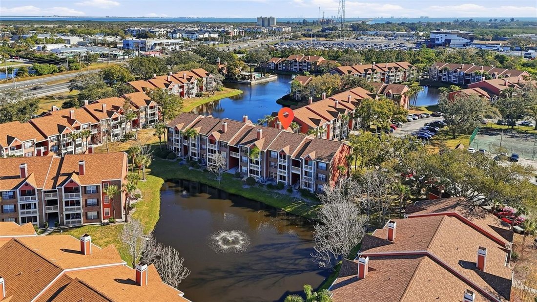 Condo in St. Petersburg, Florida, United States 1 - 18460149