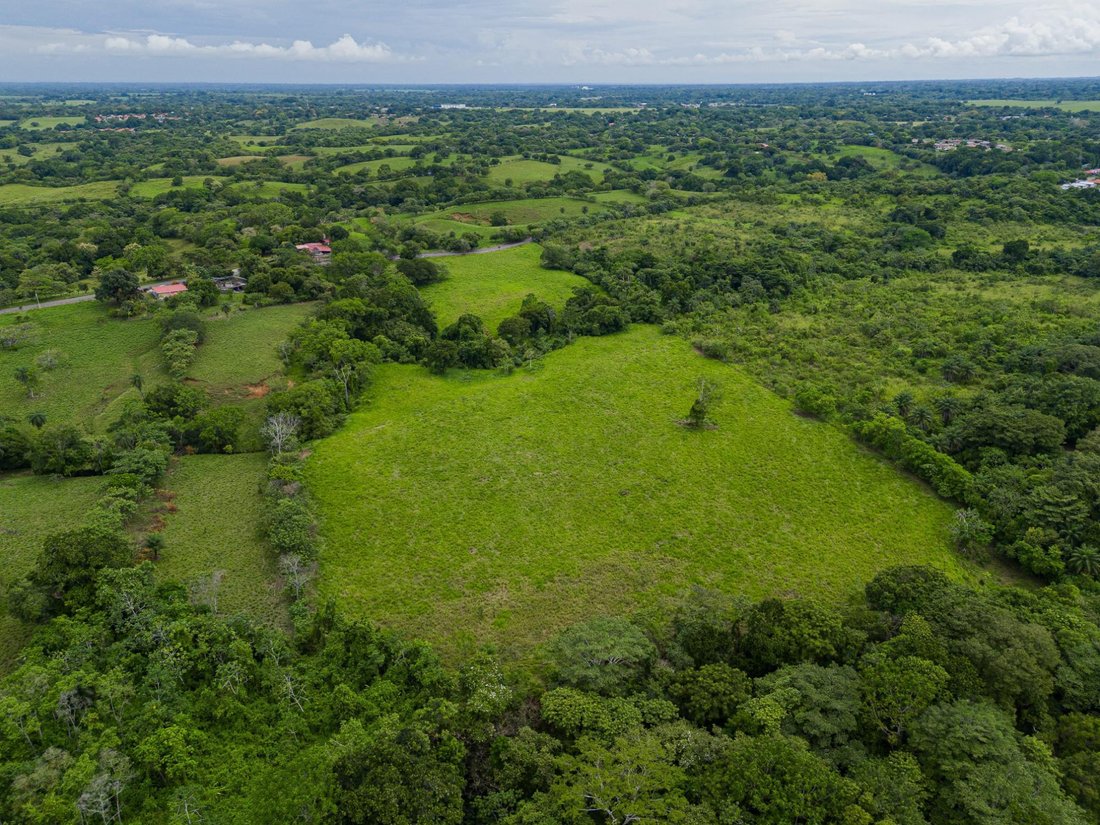 Finca in San Pablo Viejo, Chiriquí Province, Panama 1 - 18465541