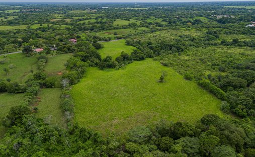Finca en San Pablo Viejo, Provincia de Chiriquí, Panamá 1