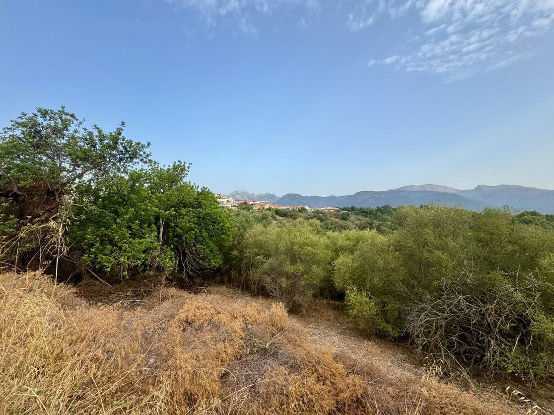 Land in Campanet, Balearic Islands, Spain 3 - 18455700