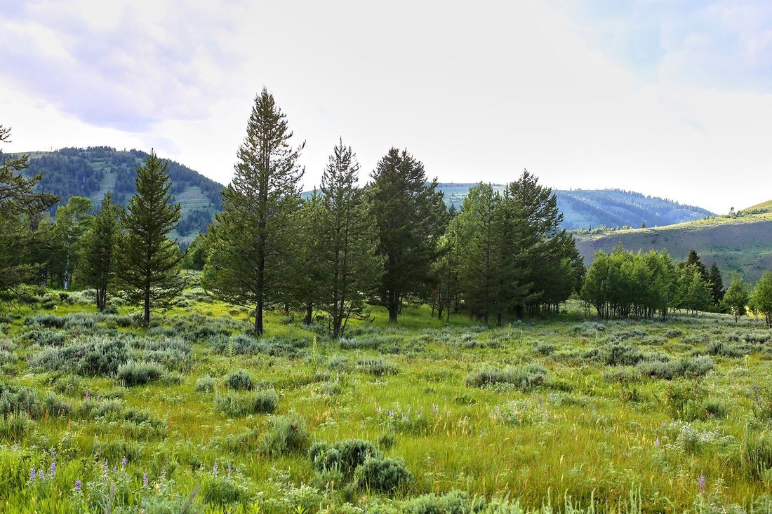 Land in Jackson, Wyoming, United States 1 - 18458172