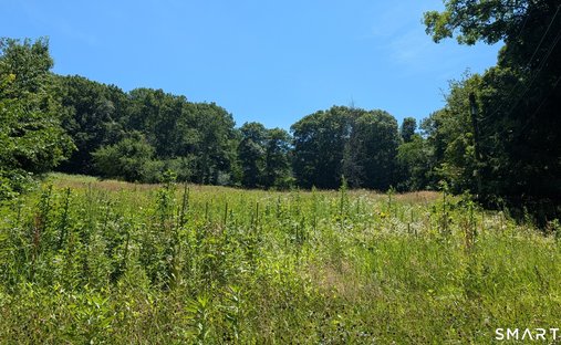 Land in Woodbury, Connecticut, United States 1