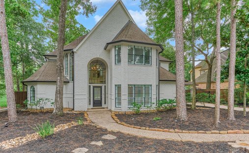 House in The Woodlands, Texas, United States 1