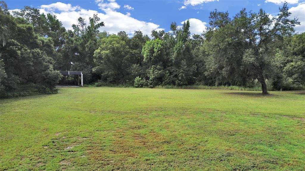 House in Brandon, Florida, United States 4 - 18457387