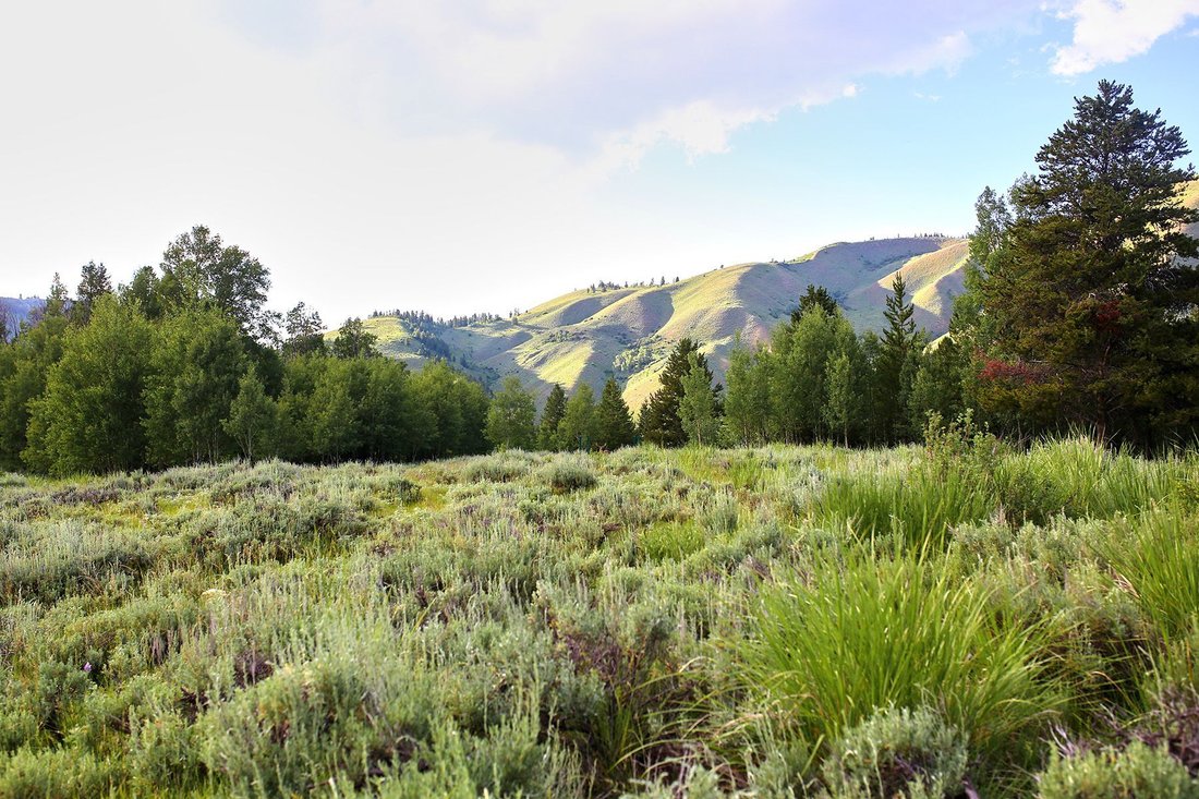 Land in Jackson, Wyoming, United States 3 - 18458172