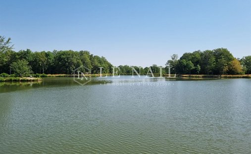 Lorris, Zentrum-Loiretal, Frankreich 1
