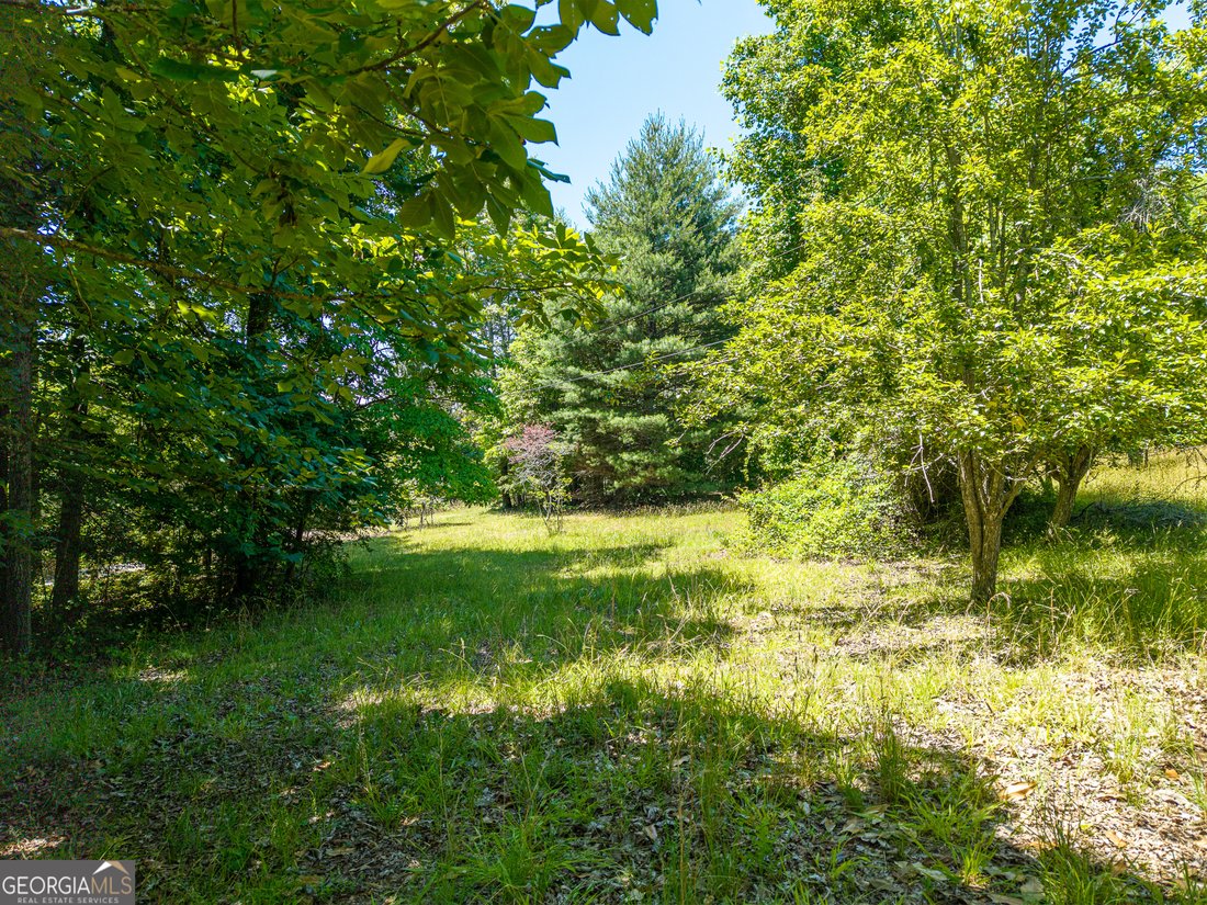 Land in Blue Ridge, Georgia, United States 5 - 18082677