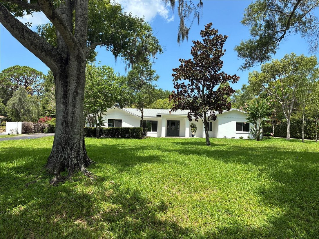 House in Clearwater, Florida, United States 1 - 18458736