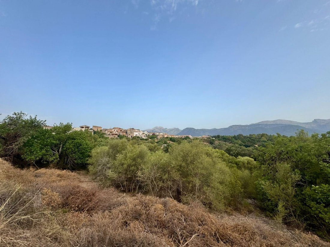 Land in Campanet, Balearic Islands, Spain 5 - 18455700
