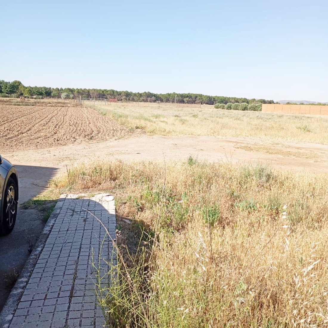 Land in Lillo, Castile-La Mancha, Spain 5 - 18466202