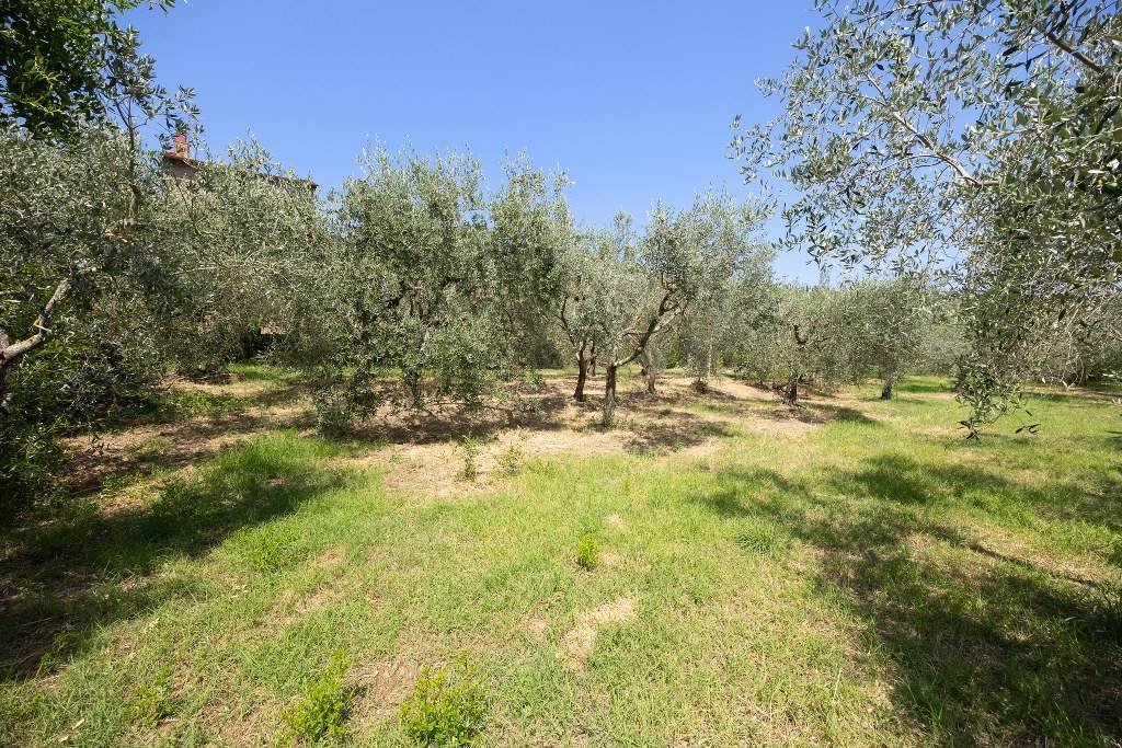 Montanare, Cortona, Tuscany 4 - 18255676