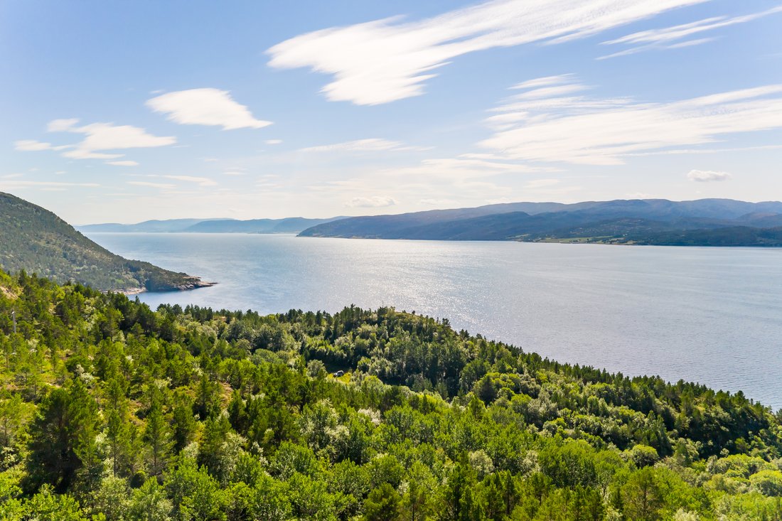 Estate in Hasselvika, Trøndelag, Norway 1 - 18472346