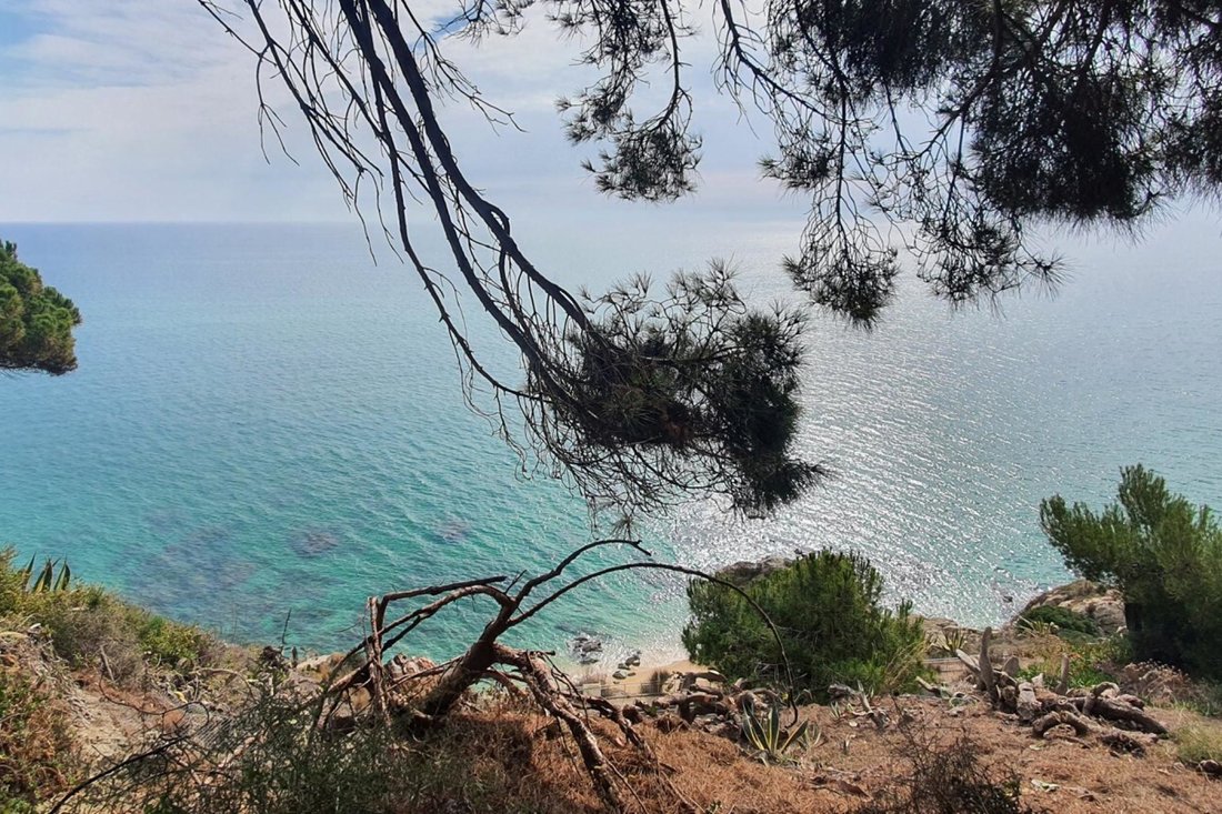 Land in Arenys de Mar, Catalonia, Spain 1 - 18472475