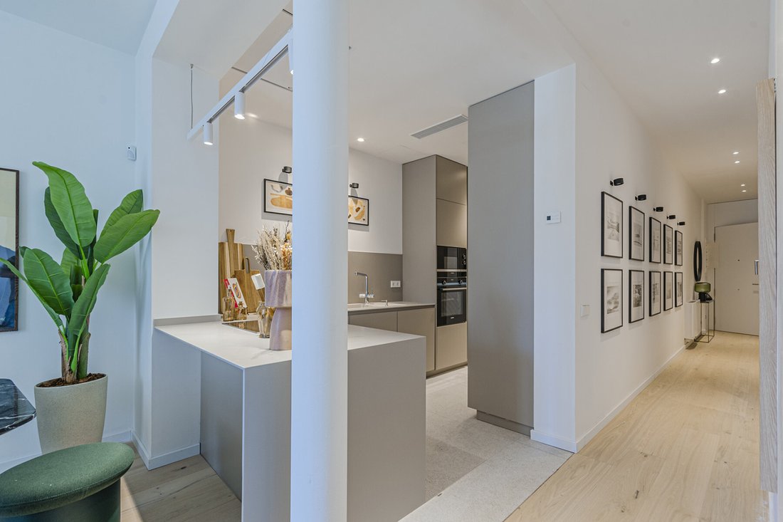 Apartment in Eixample, Barcelona, Spain 3 - 18472562