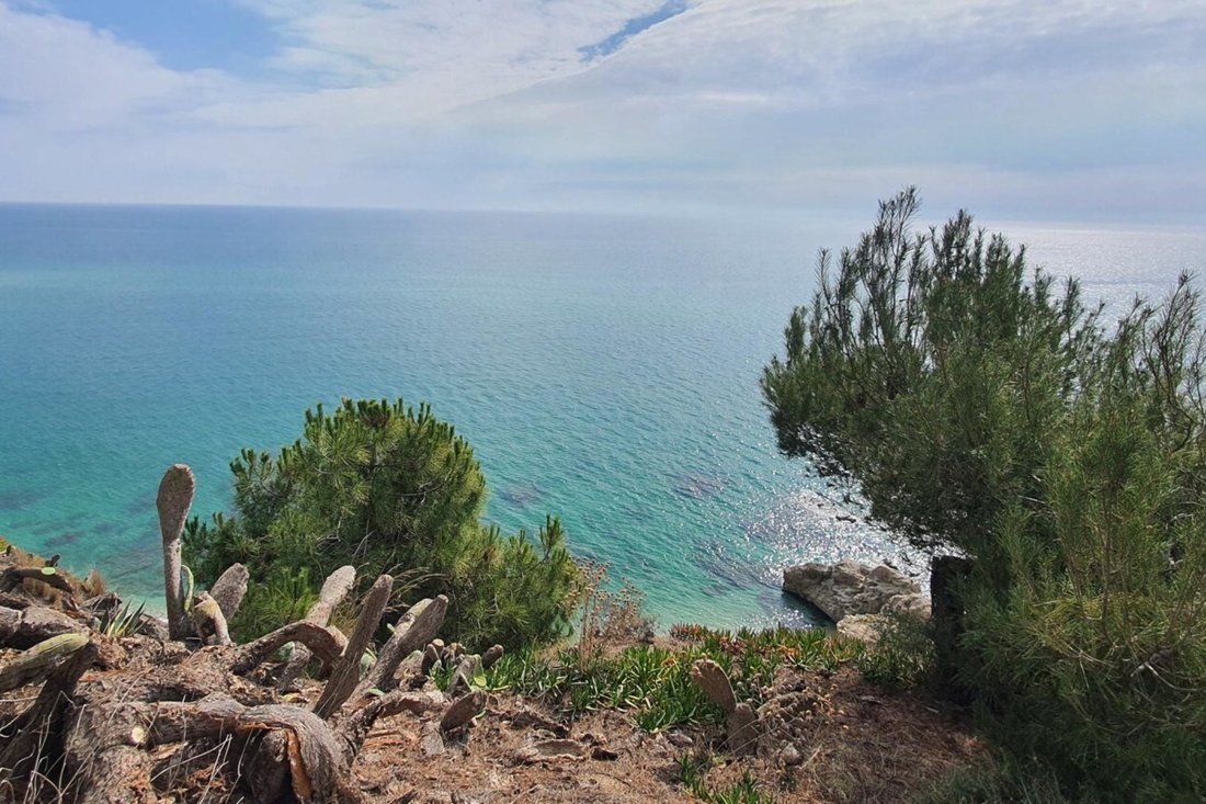 Land in Arenys de Mar, Catalonia, Spain 2 - 18472475