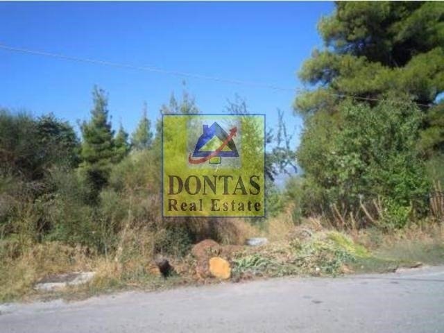 Land in Dionysos, Attica, Greece 1 - 16155792