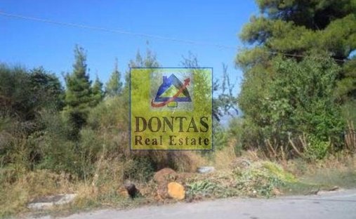 Land in Dionysos, Attica, Greece 1