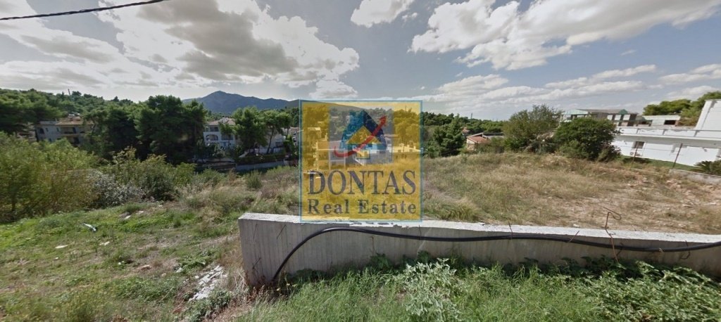 Land in Dionysos, Attica, Greece 3 - 16155782