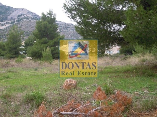 Land in Dionysos, Attica, Greece 5 - 16155739