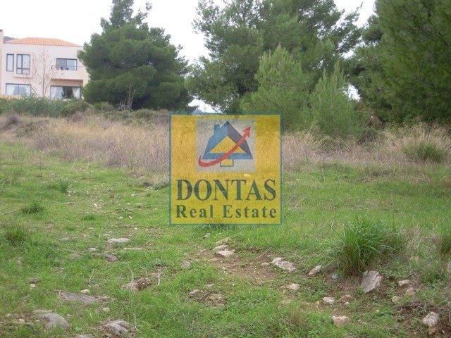 Land in Dionysos, Attica, Greece 5 - 16155738
