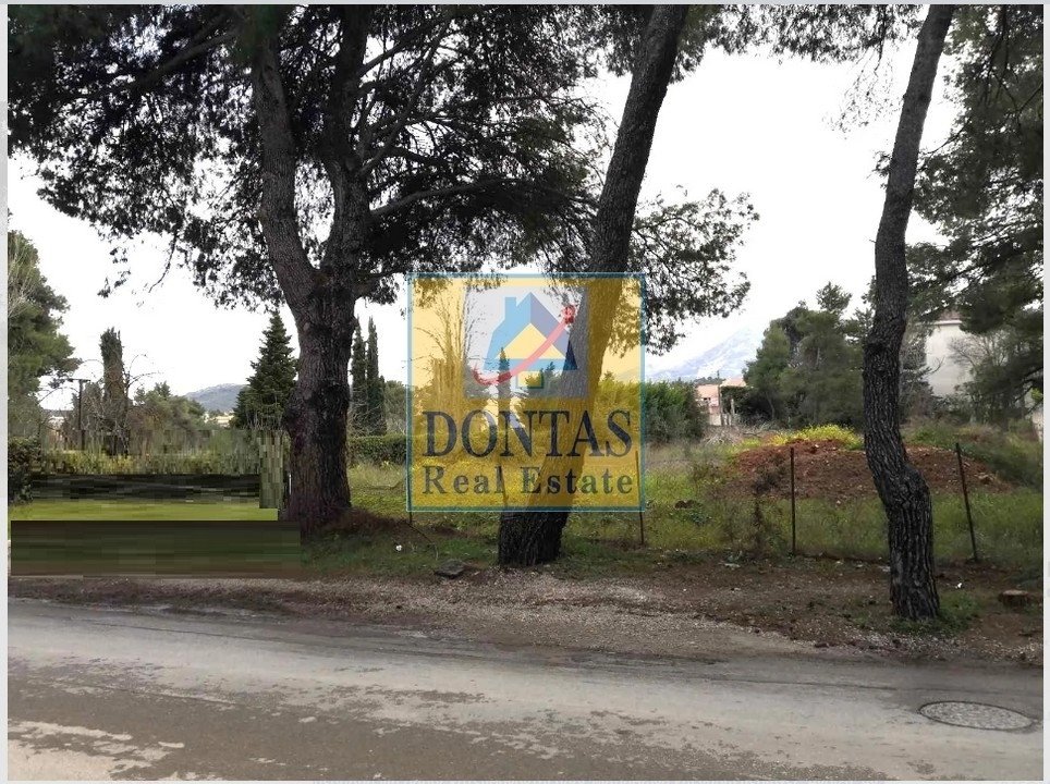 Land in Dionysos, Attica, Greece 2 - 16155788