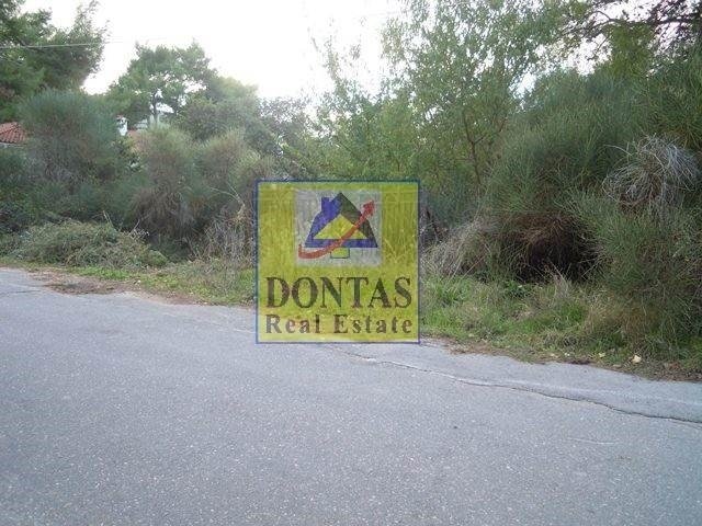 Land in Dionysos, Attica, Greece 3 - 16155792