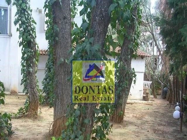 Land in Ekali, Attica, Greece 4 - 16155741