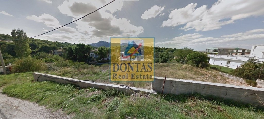 Land in Dionysos, Attica, Greece 5 - 16155782