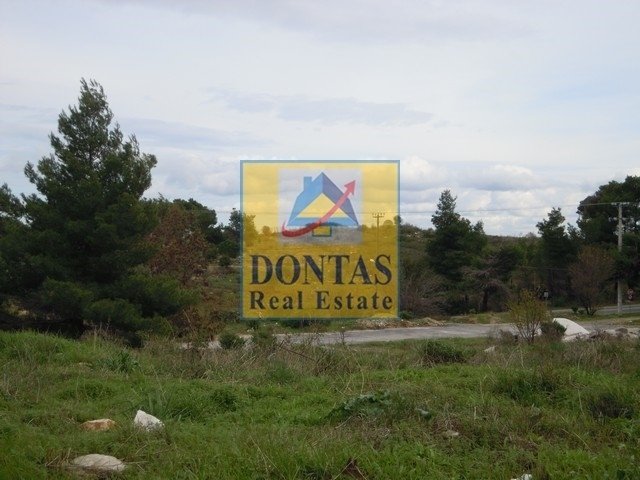 Land in Dionysos, Attica, Greece 1 - 16155739