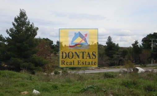 Land in Dionysos, Attica, Greece 1