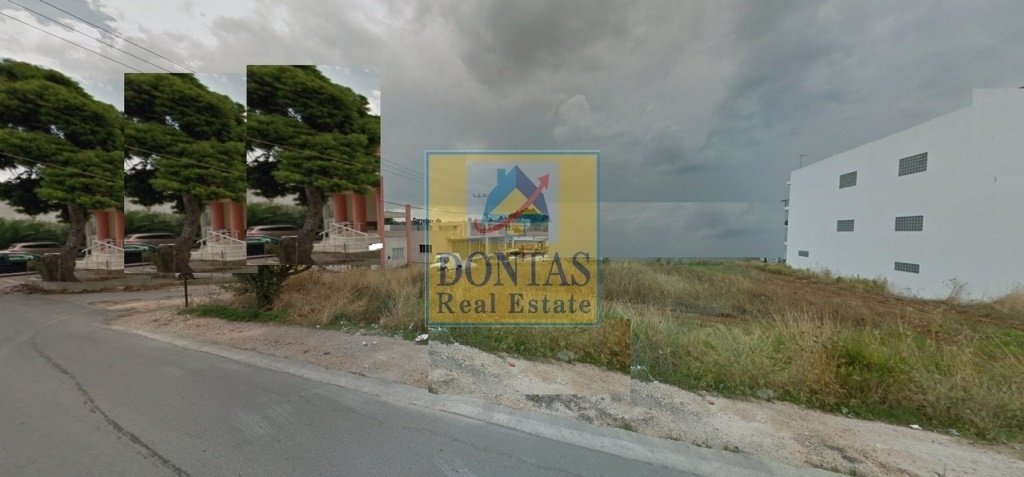 Land in Dionysos, Attica, Greece 2 - 16155775