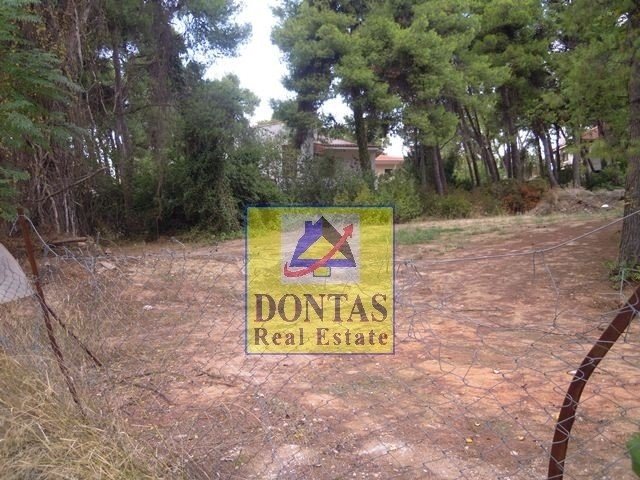 Land in Ekali, Attica, Greece 4 - 16155744