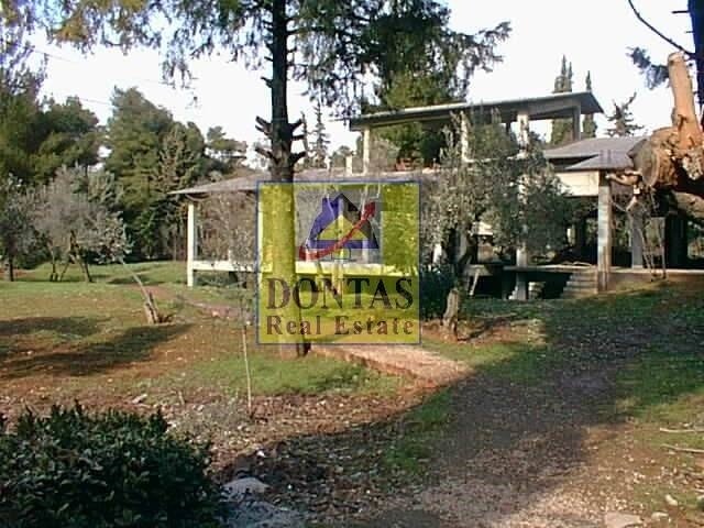 Land in Ekali, Attica, Greece 1 - 16155781