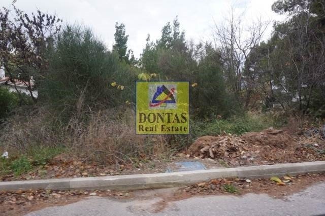 Land in Dionysos, Attica, Greece 5 - 16155792